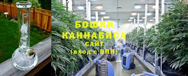 молекула духа Вязьма