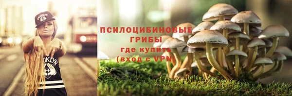 кристаллы Вяземский