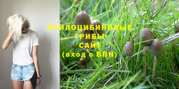 кристаллы Вяземский