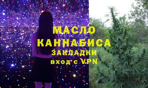 молекула духа Вязьма