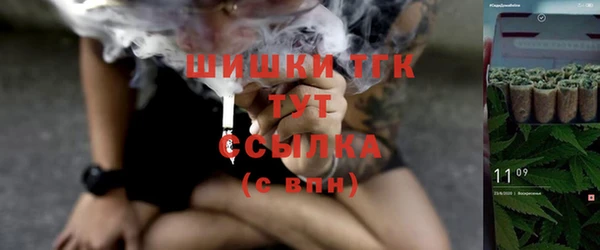 молекула духа Вязьма