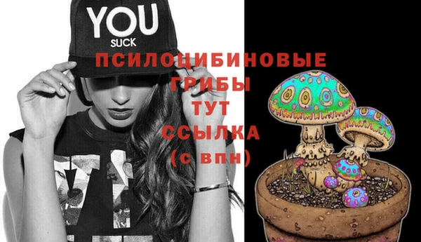 кристаллы Вяземский
