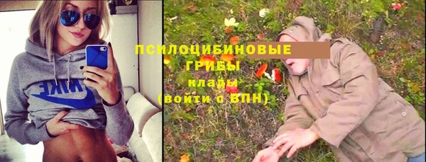 молекула духа Вязьма