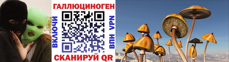 Галлюциногенные грибы Cubensis  сколько стоит  Петушки 