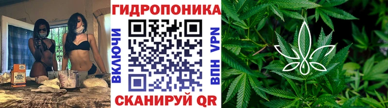Конопля гибрид  Петушки 